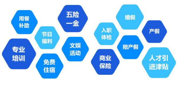 提供全面、系統(tǒng)、專業(yè)的培訓和廣闊的<br>職業(yè)發(fā)展空間和提升機會